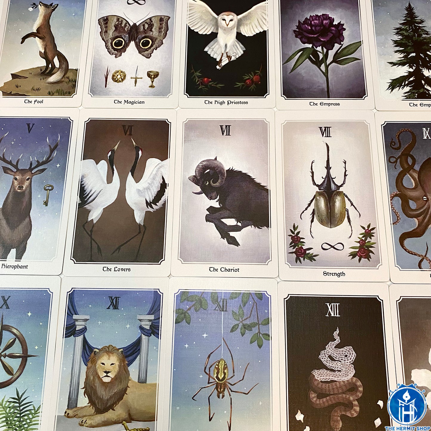 Anima Mundi Tarot πΊπΈ
